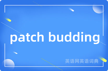 patch budding